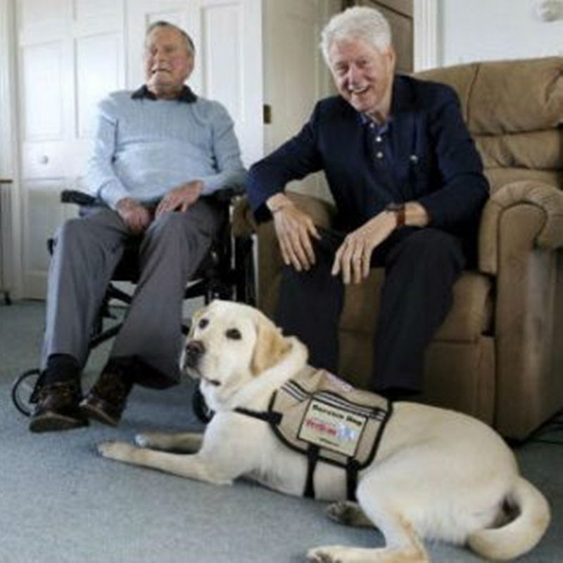 L'ex presidente Bush accoglie ilnuovo cane di servizio al complesso Kennebunkport